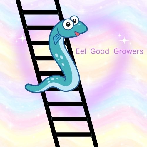 Eel Good Growers